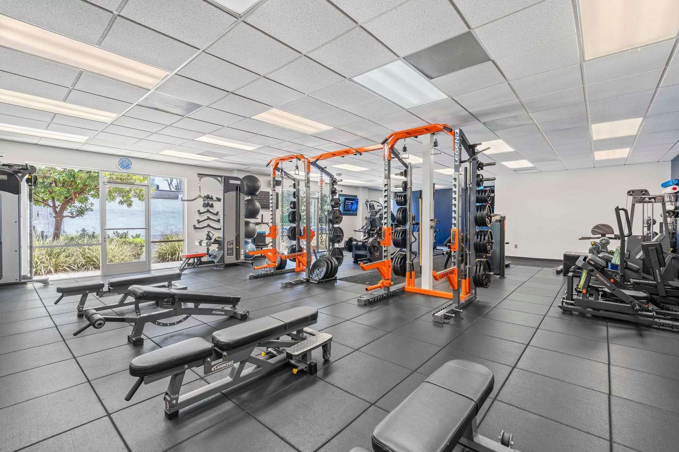 Dumbbell racks and adjustable benches along the window side of the studio